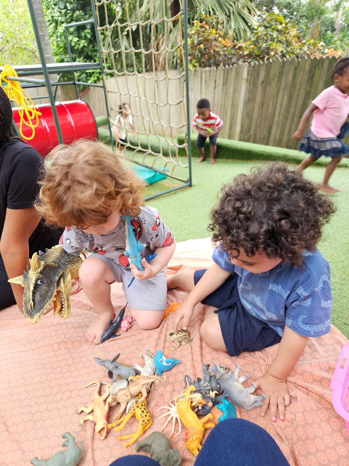 WhatsApp Image 2026-01-16 at 11.53.10