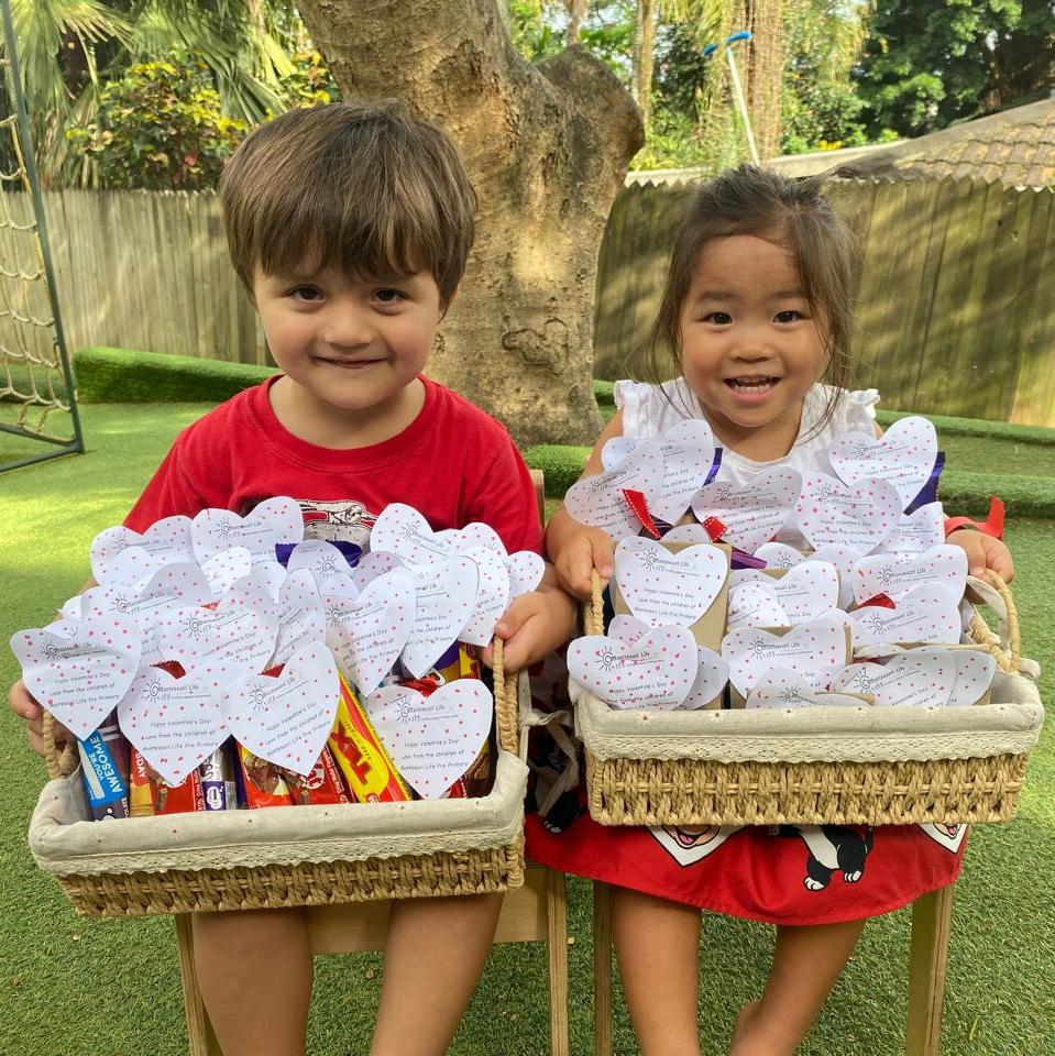 WhatsApp Image 2026-02-13 at 10.45.51