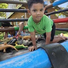 526291370_1307655911276014_802052116744316890_n